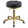 Premium Black & Gold Hydraulic Rolling Salon Stool