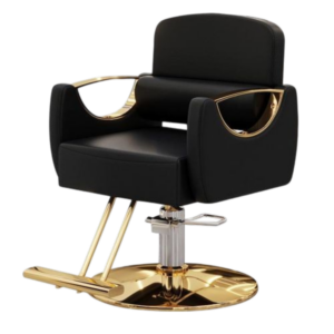 Apex Ergonomic Black & Gold Salon Styling Chair Apex Ergonomic Black & Gold Salon Styling Chair