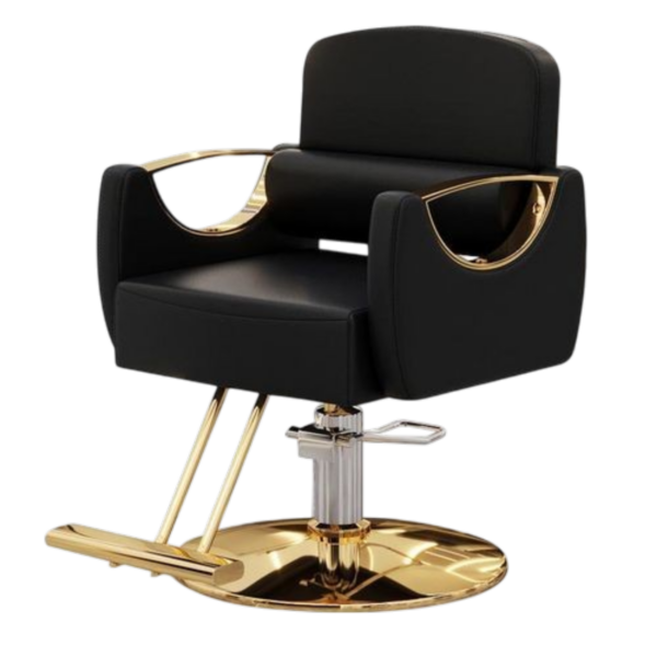 Apex Ergonomic Black & Gold Salon Styling Chair
