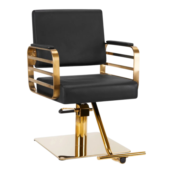 Aura Modern Black & Gold Salon Styling Chair Aura Modern Black & Gold Salon Styling Chair
